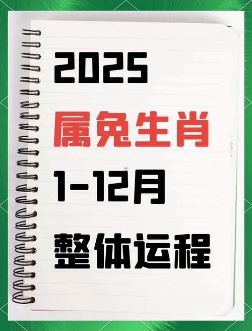 屬兔2025年運(yùn)勢(shì)和運(yùn)程1987年的兔