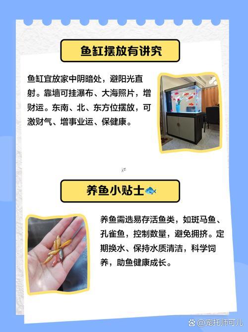 魚缸放幾條魚相對(duì)招財(cái)