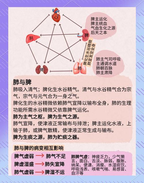 五行與五臟的關(guān)聯(lián)