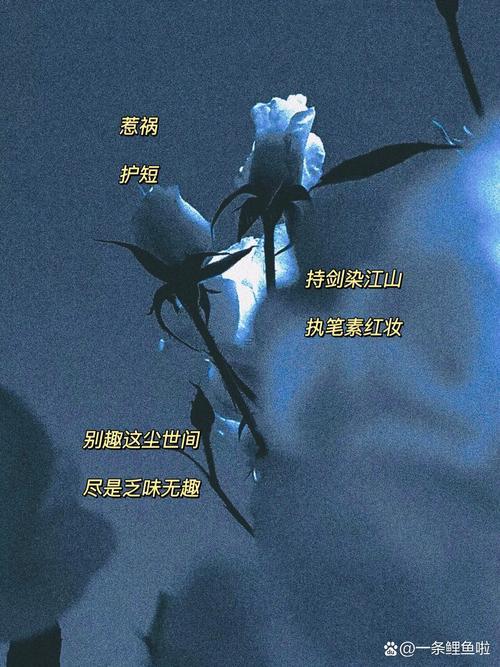 好聽又時(shí)仍然的情侶網(wǎng)名