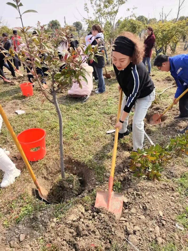 2026年2月適合種樹的日子