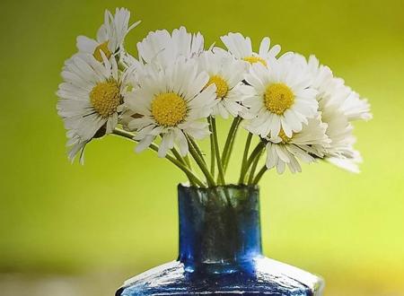 2026年2月開葷吉日一覽表