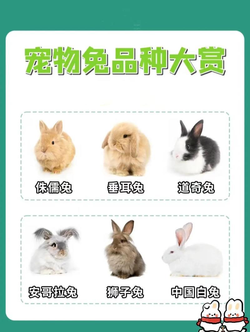 可愛(ài)的寵物名字