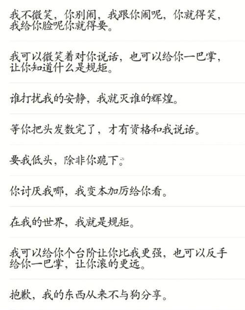 霸氣網(wǎng)絡(luò)