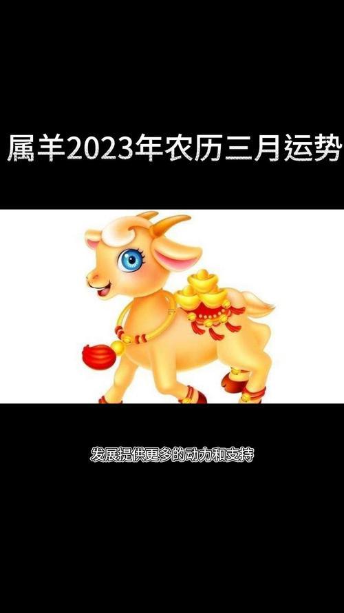 03年屬羊2023年多大